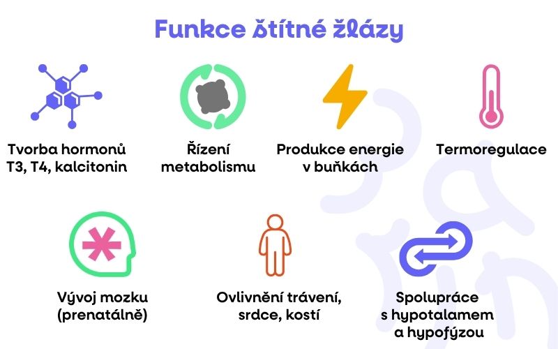 FUNKCE STITNE ZLAZY